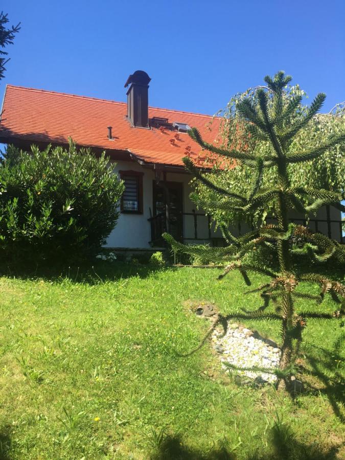 Haus Bergblick Villa Luftkurort Lückendorf Exteriör bild